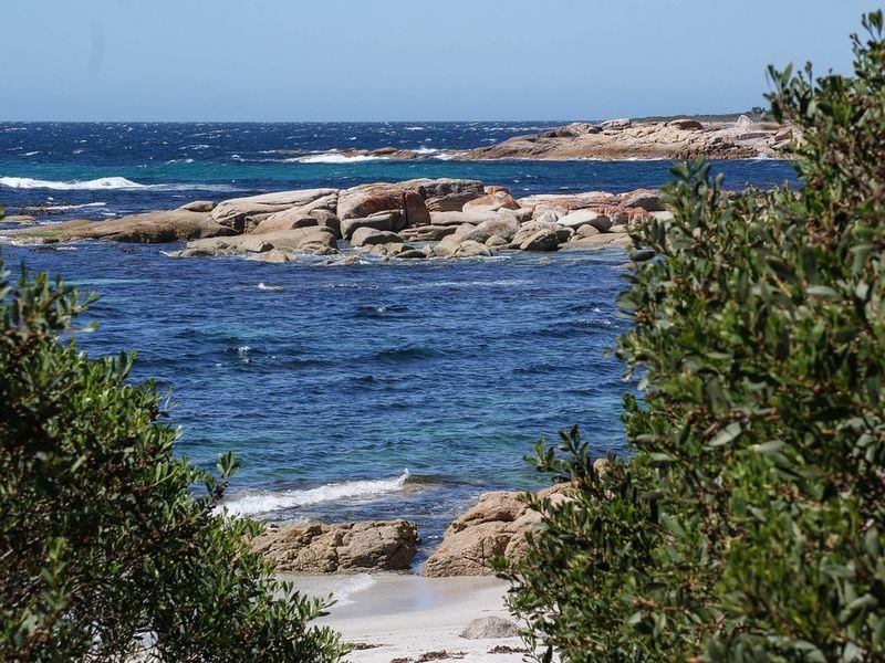 3/65 Harveys Farm Road, Bicheno TAS 7215