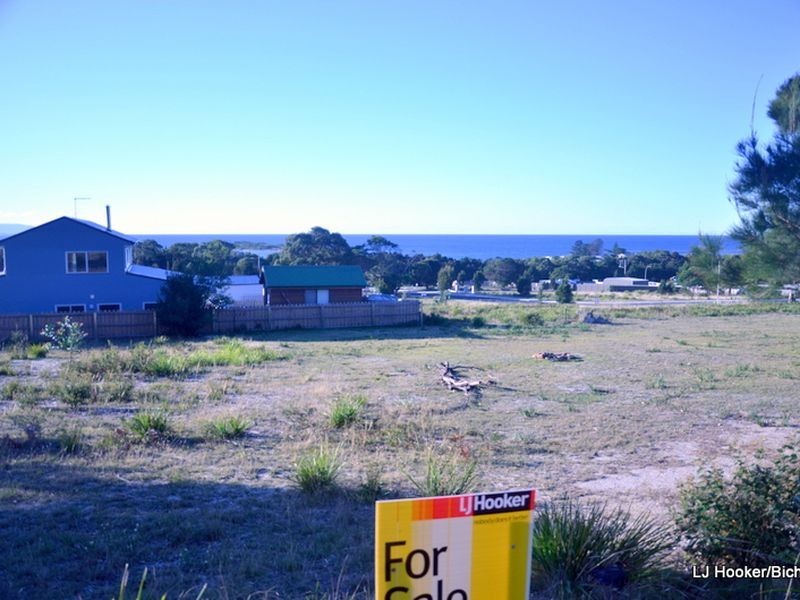 1 Bailey Street, Bicheno TAS 7215