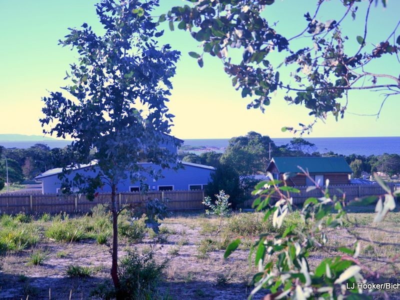 1 Bailey Street, Bicheno TAS 7215