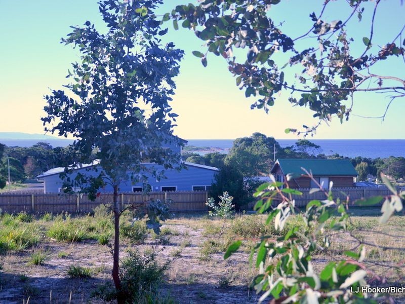 1 Bailey Street, Bicheno TAS 7215