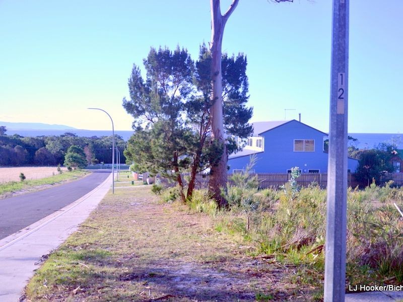 1 Bailey Street, Bicheno TAS 7215