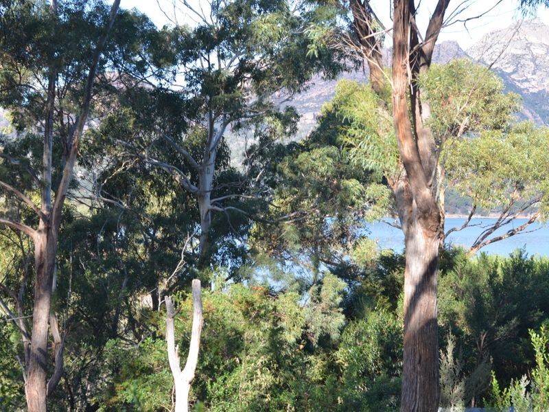 94 Freycinet Drive, Coles Bay TAS 7215