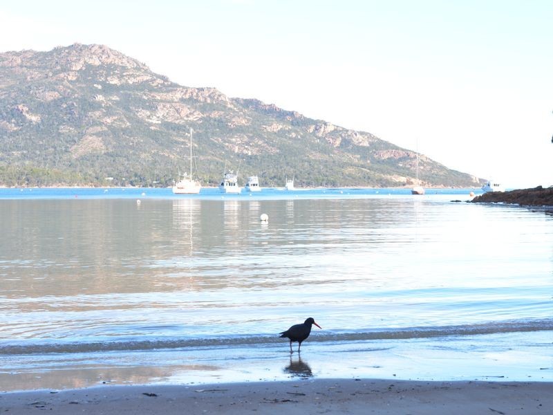 94 Freycinet Drive, Coles Bay TAS 7215