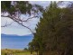 13 Old Spring Bay Road, Swansea TAS 7190