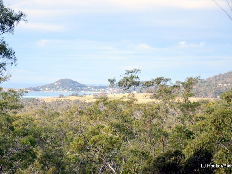 9 Barnard Drive, Bicheno TAS 7215