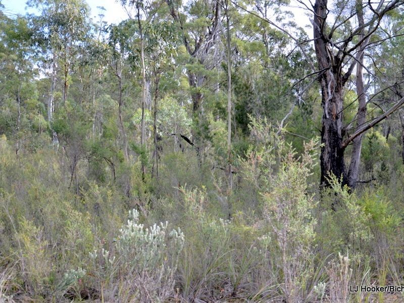 9 Barnard Drive, Bicheno TAS 7215
