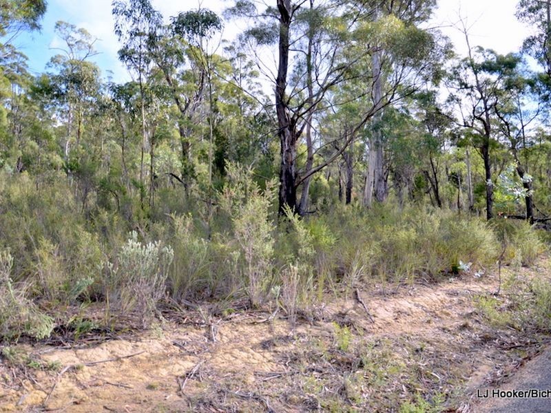 9 Barnard Drive, Bicheno TAS 7215