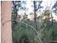 9 Barnard Drive, Bicheno TAS 7215
