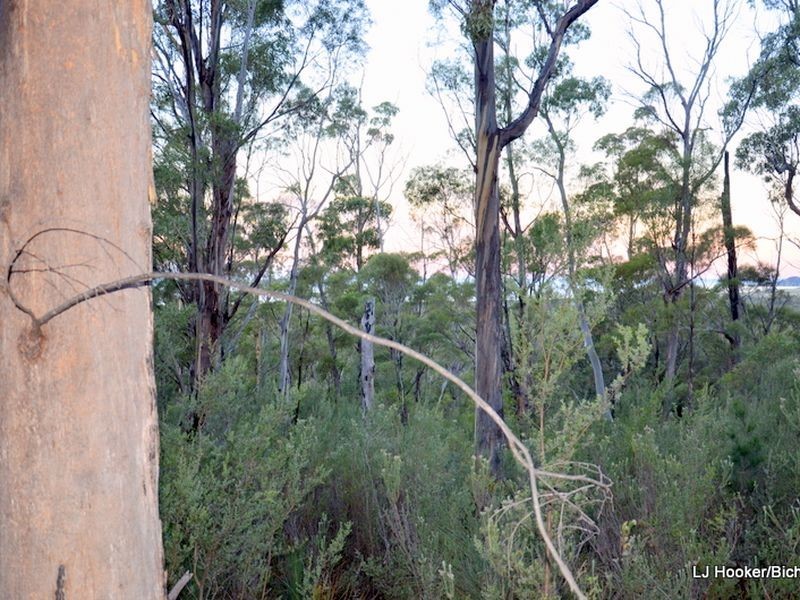 9 Barnard Drive, Bicheno TAS 7215