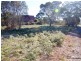 23 Hazards View Drive, Coles Bay TAS 7215