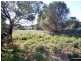23 Hazards View Drive, Coles Bay TAS 7215