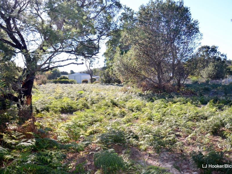 23 Hazards View Drive, Coles Bay TAS 7215