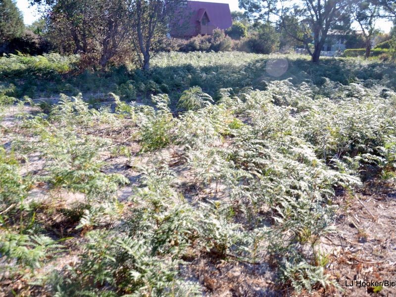 23 Hazards View Drive, Coles Bay TAS 7215