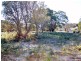23 Hazards View Drive, Coles Bay TAS 7215