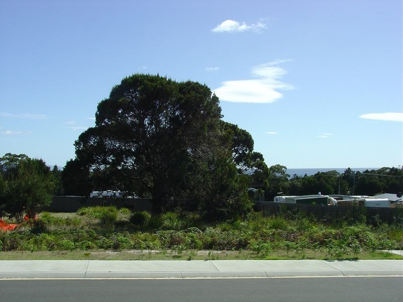 9 Wallace Avenue, Bicheno TAS 7215