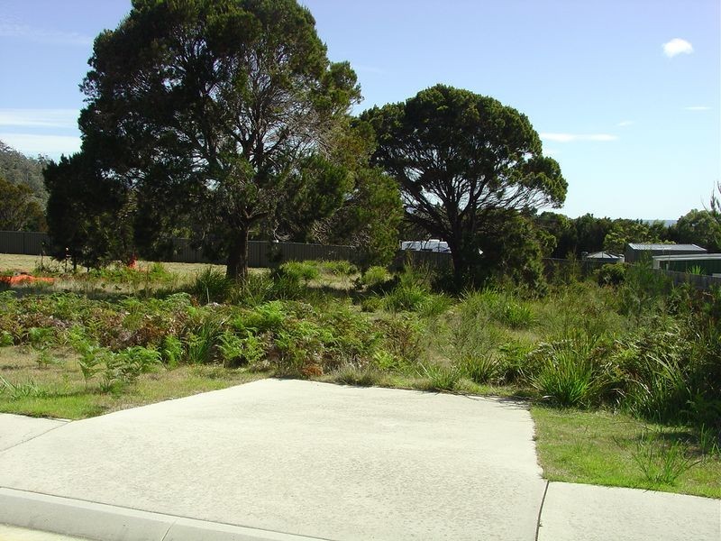 9 Wallace Avenue, Bicheno TAS 7215