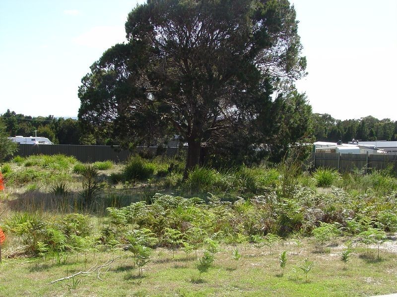 9 Wallace Avenue, Bicheno TAS 7215