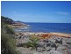 211 Harveys Farm Rd, Bicheno TAS 7215