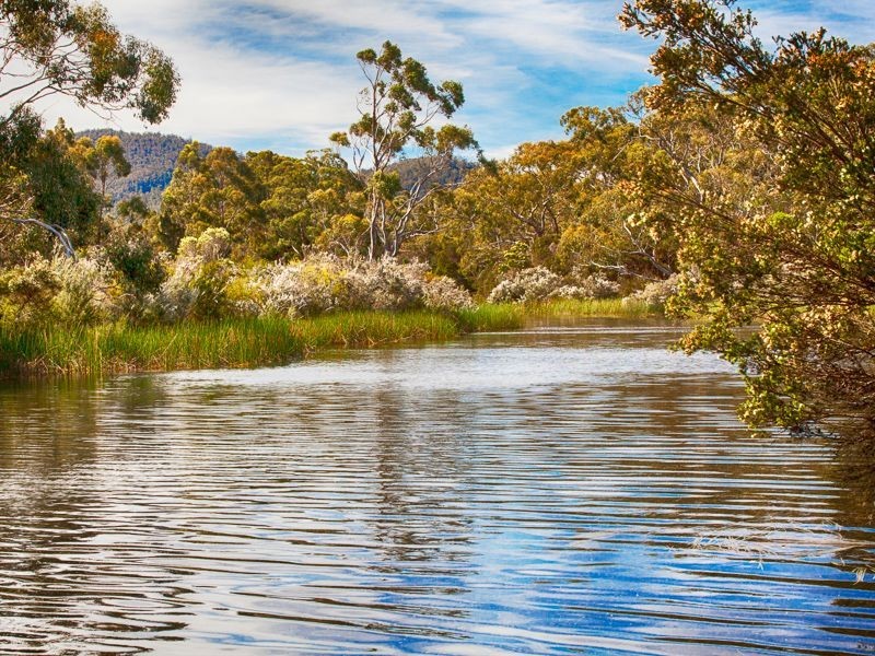 139 Coles Bay Road, Coles Bay TAS 7215