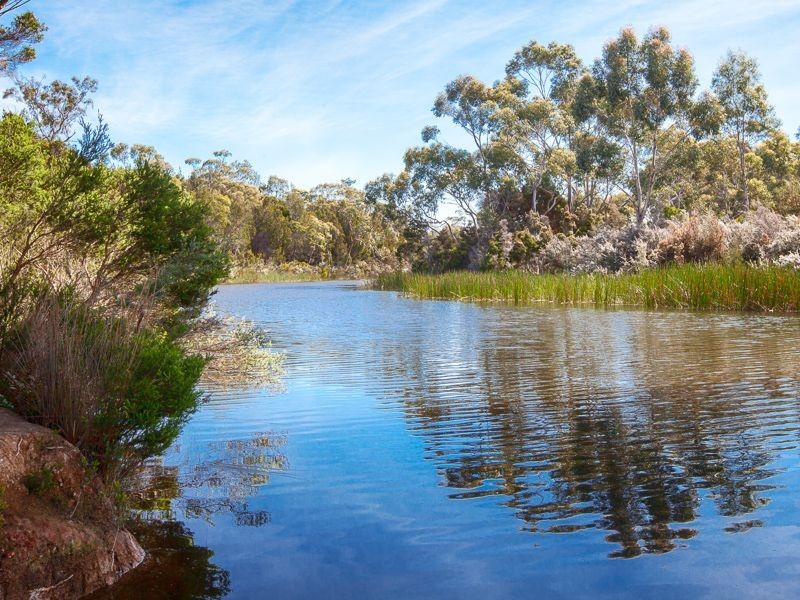 139 Coles Bay Road, Coles Bay TAS 7215