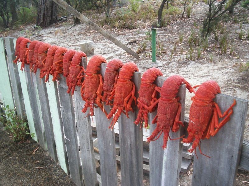 22 River and Rocks Rd, Coles Bay TAS 7215