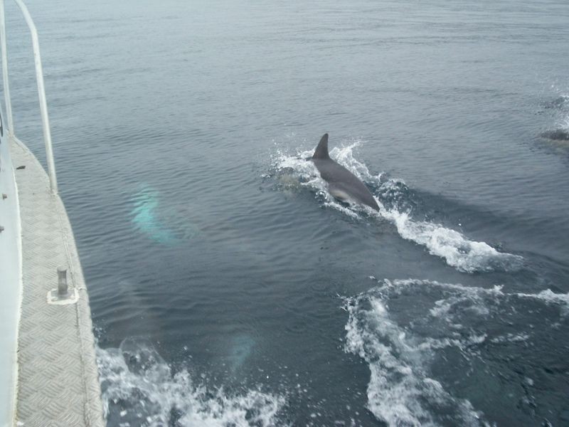 22 River and Rocks Rd, Coles Bay TAS 7215