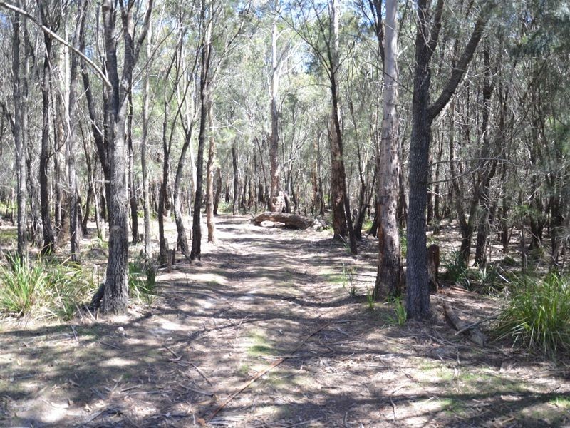 299 Rosedale Road, Bicheno TAS 7215