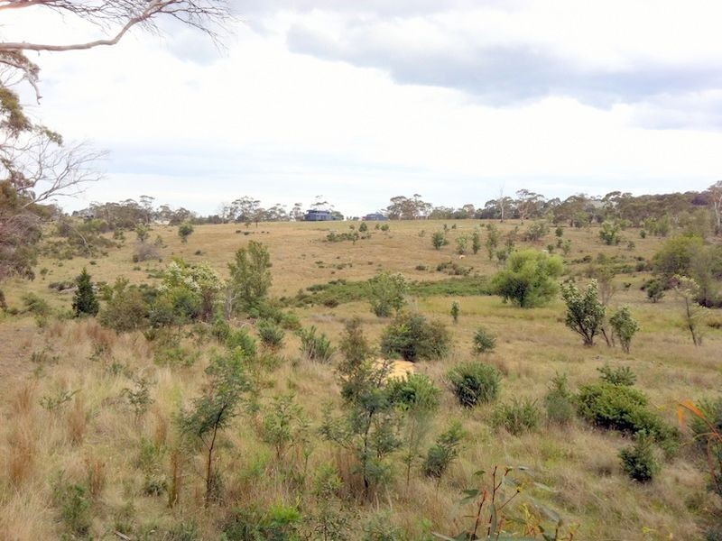 6 Wedge Street, Swansea TAS 7190