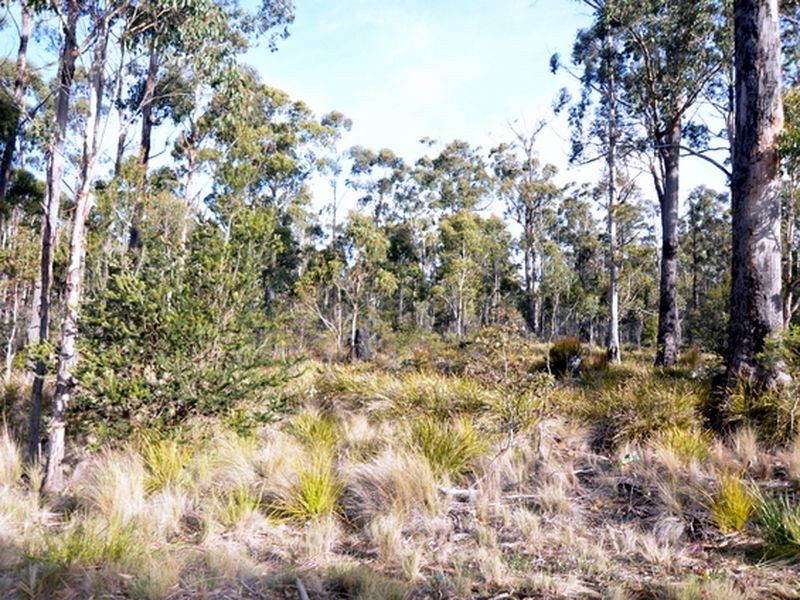 103 Lake View Road, Lake Leake TAS 7210