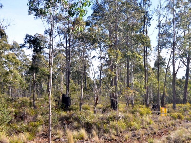 103 Lake View Road, Lake Leake TAS 7210