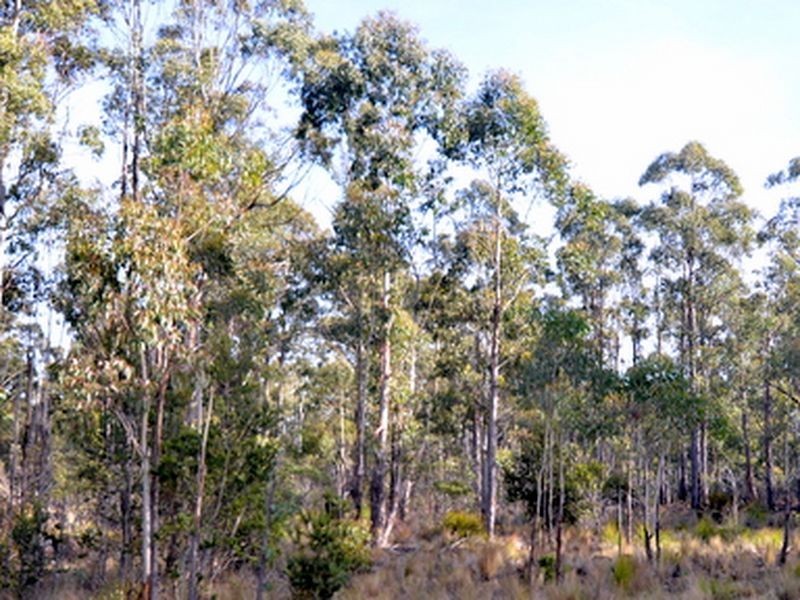 103 Lake View Road, Lake Leake TAS 7210