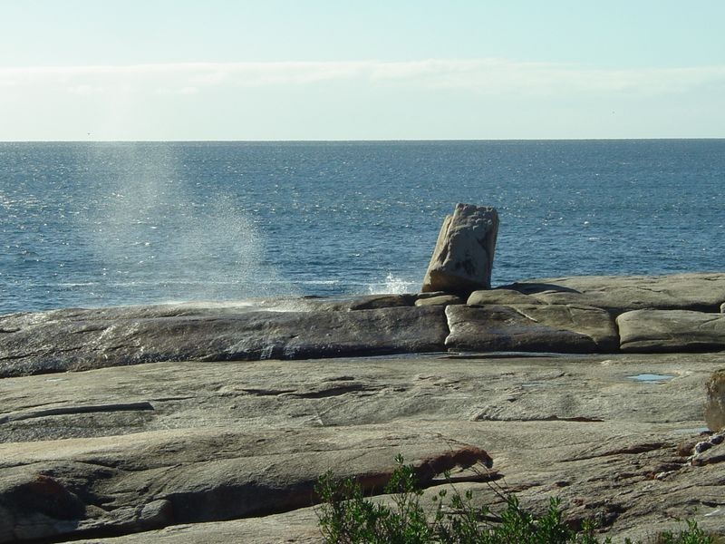 11 Douglas Street, Bicheno TAS 7215