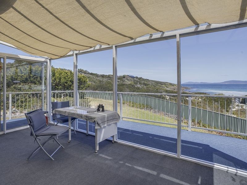 236 Champ Street, Seymour TAS 7215
