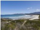236 Champ Street, Seymour TAS 7215