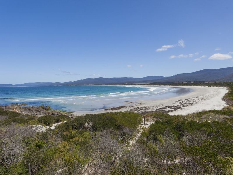 236 Champ Street, Seymour TAS 7215