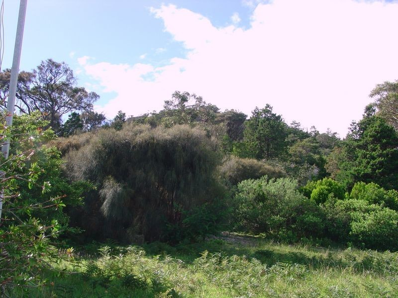 16 Fraser Street, Bicheno TAS 7215