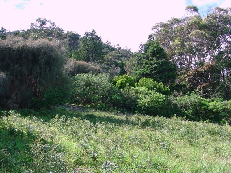 16 Fraser Street, Bicheno TAS 7215