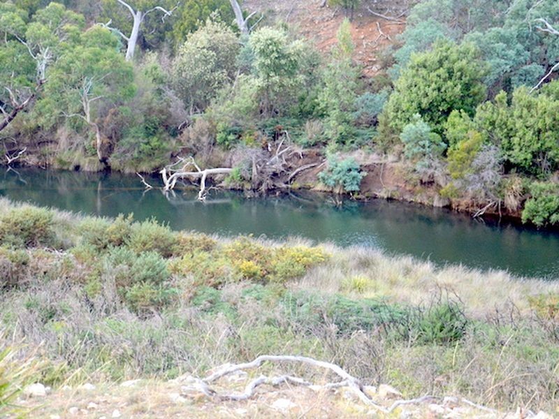 10220 Tasman Highway, Little Swanport TAS 7190
