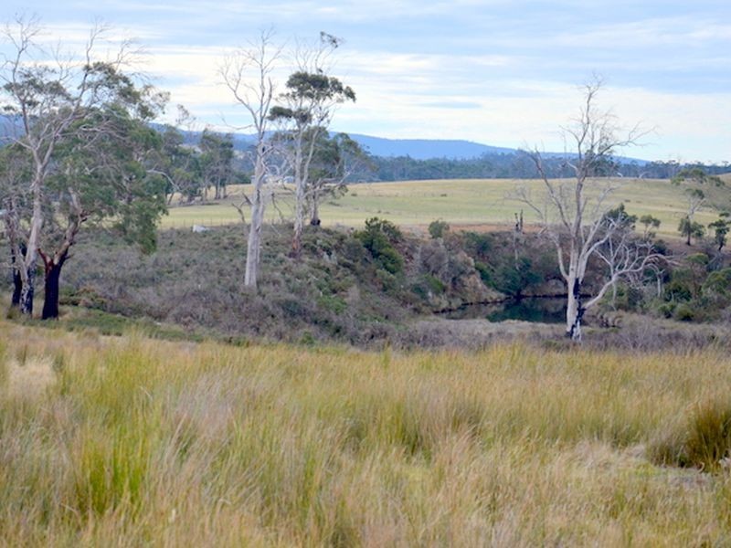 10220 Tasman Highway, Little Swanport TAS 7190
