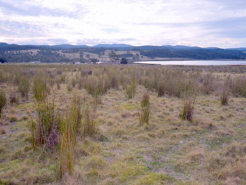 10220 Tasman Highway, Little Swanport TAS 7190