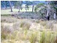 10220 Tasman Highway, Little Swanport TAS 7190