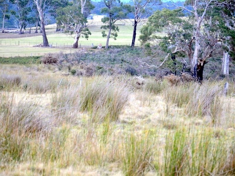 10220 Tasman Highway, Little Swanport TAS 7190