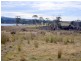 10220 Tasman Highway, Little Swanport TAS 7190