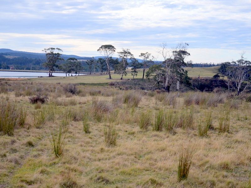 10220 Tasman Highway, Little Swanport TAS 7190