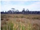 10220 Tasman Highway, Little Swanport TAS 7190