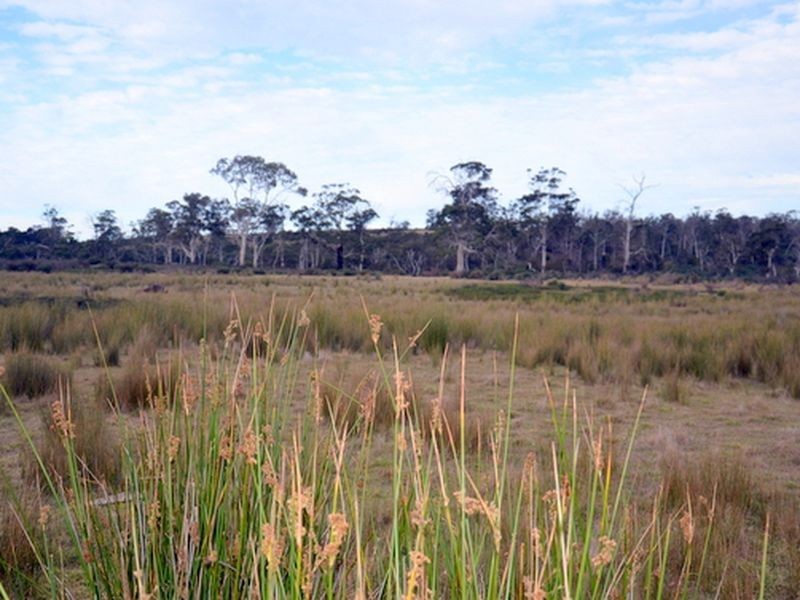 10220 Tasman Highway, Little Swanport TAS 7190
