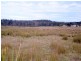 10220 Tasman Highway, Little Swanport TAS 7190