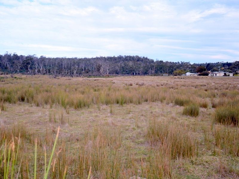10220 Tasman Highway, Little Swanport TAS 7190