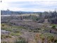10220 Tasman Highway, Little Swanport TAS 7190