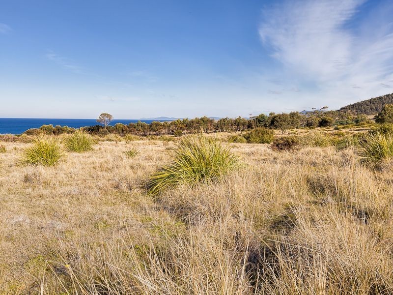 1/ Tasman Highway, Chain Of Lagoons TAS 7215